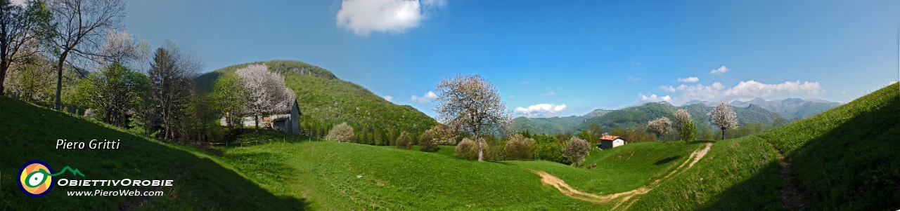 33 Panoramica sui prati ed i ciliegi di Piazzoli....jpg